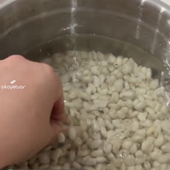 Hasata Derinkuyu Kuru Fasulye İkiye Ayrıldı!