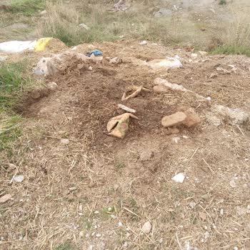 Kadınhanı’da Büyükbaş Hayvan Beslemesi Ve Koku Kirliliği Şikayeti