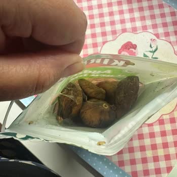 Migros Kırdağ Aydın Markalı Kuru İncirde Böceklenme Ve Küflenme Gıda Güvenliği Şikayeti