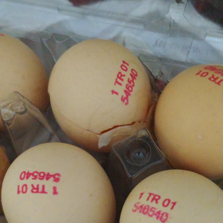 Eksik Ekmek Ve Kırık Yumurta Üzerine Geri Ödeme Talebi