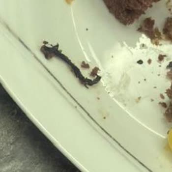 Ondo Edirne Şubesinde Pastada Yabancı Madde Çıktı, Migros Yemek Destek İlgisiz, İade Talep Ediliyor