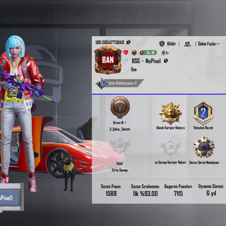 Haksız 10 Yıllık PUBG Mobile Banının Kaldırılmasını Talep Ediyorum