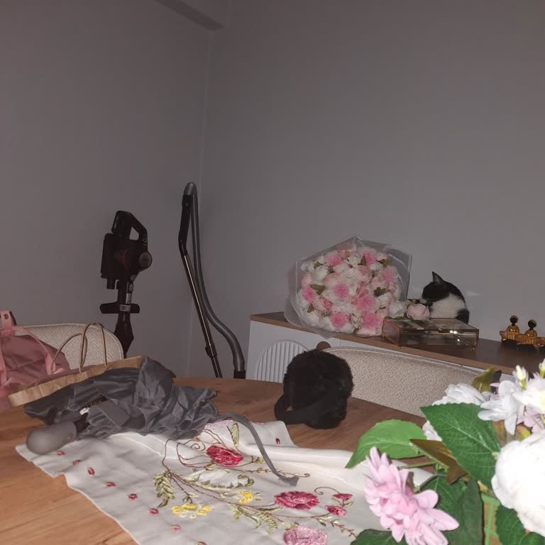 Sultangazi 1268 Sokakta Uzun Süreli Elektrik Kesintisi Ve Müşteri Hizmetleri İlgisizliği