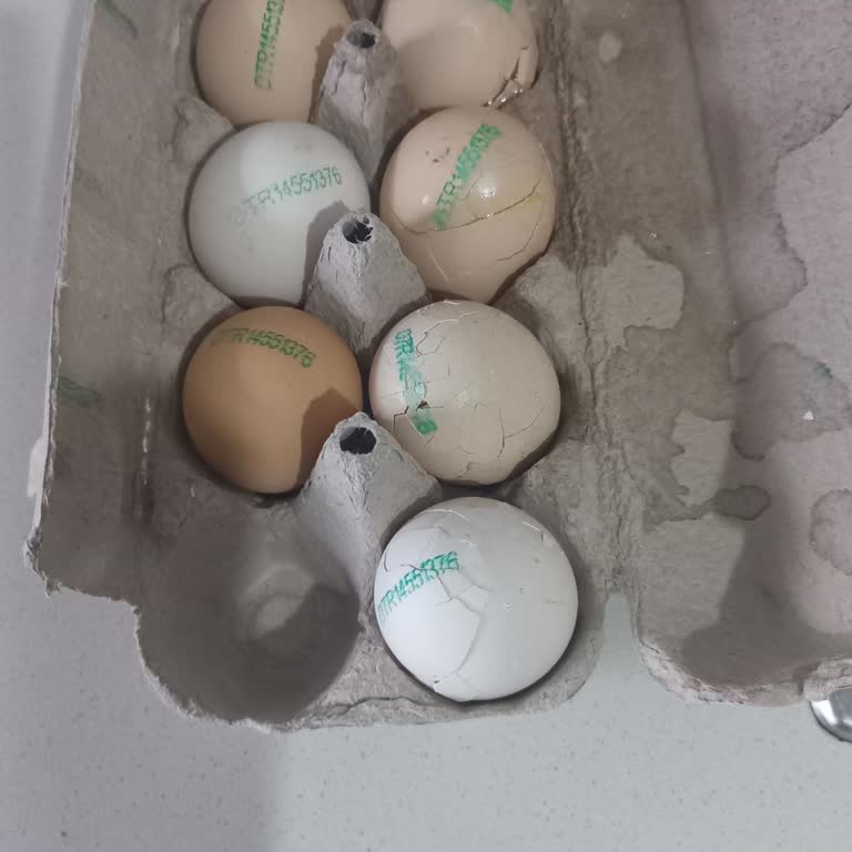 Carrefour Bio Organic Kırık Yumurta Şikayeti