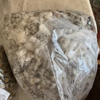 Şoklanmış Denilerek Satılan Bamya ve Bezelyelerin Donmuş ve Çözülmüş Gelmesi ve İade Talebi