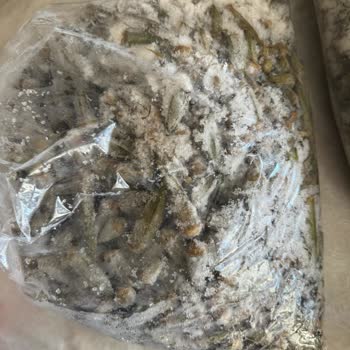 Şoklanmış Denilerek Satılan Bamya ve Bezelyelerin Donmuş ve Çözülmüş Gelmesi ve İade Talebi