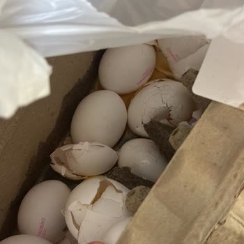 Migros Hemen Kuryesinin Saygısız Davranışı Ve Kırılan Yumurta Kolisi