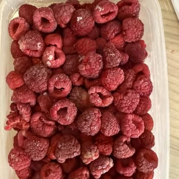 Turkey_malina Ahududu Ürününde Larva Bulunması Ve İade Talebi