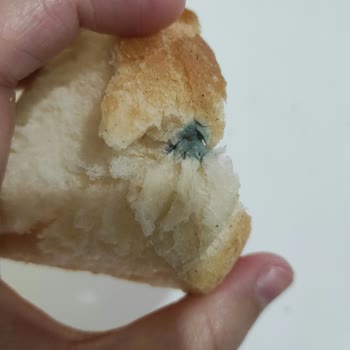 Şok Market Gölcük Şubesinde Küflü Ekmeğe Ücret İadesi Ve Hijyen İyileştirme Talebi
