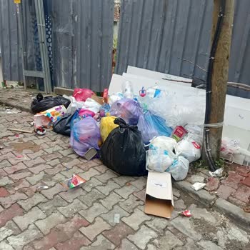 Şirintepe Mahallesi'nde Çöp Konteyneri Yokluğu Çevre Kirliliği Ve Sağlık Sorunu