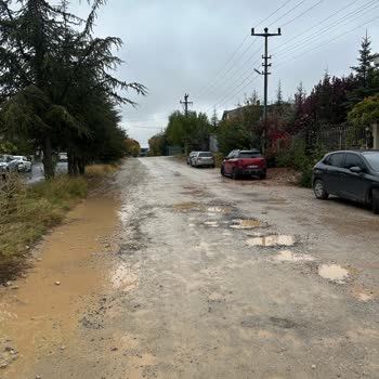 Kızılcaşar Mahallesindeki Asfalt Gecikmesi ve Saygısız Telefon Görüşmesi