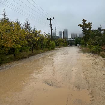 Kızılcaşar Mahallesindeki Asfalt Gecikmesi ve Saygısız Telefon Görüşmesi