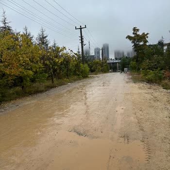 Kızılcaşar Mahallesindeki Asfalt Gecikmesi ve Saygısız Telefon Görüşmesi