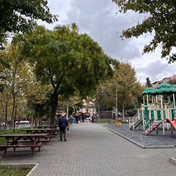 Levent Kırca Parkı Üst Kapalı Çardak Ve Kamelya İhtiyacı