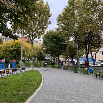 Levent Kırca Parkı Üst Kapalı Çardak Ve Kamelya İhtiyacı