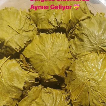 Eki aç