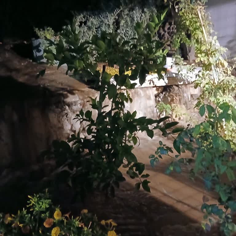 Alaşehir Su Borusu Patlaması Sonrası Bahçe Duvarı Hasarının Görmezden Gelinmesi