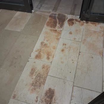 Teslim Edilen Bina Temizlik Kalitesizliği Ve Sızıntı Sorunları