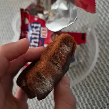Torku Miniki Kek Üzerindeki Beyaz Küf Ve Hijyen Sorunu