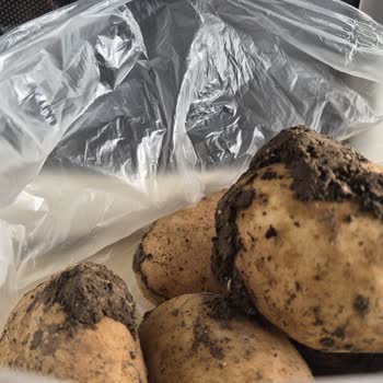 Migros Hemen'den Çamurlu Patates Teslimatı Ve Ücret İadesi Talebi