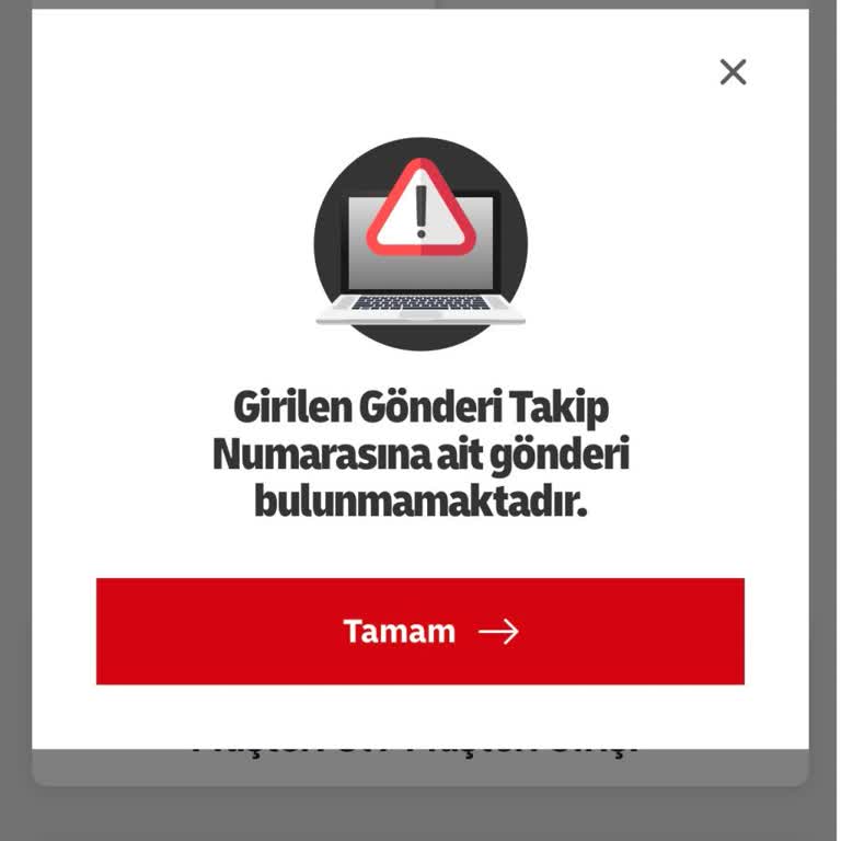Toyzz Shop Siparişimin Gecikmesi Ve İletişimsizlik Nedeniyle Mağduriyet