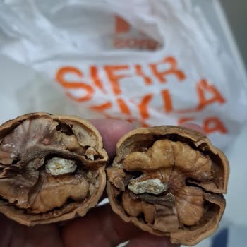 Migros Kayapınar Mağazasında Kampanyalı Cevizlerde Küflenme Ve Böceklenme Şikayeti