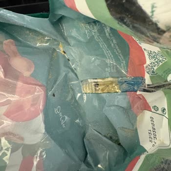 Pastavilla Makarna Paketi Açıldığında Canlı Böcekler Çıktı