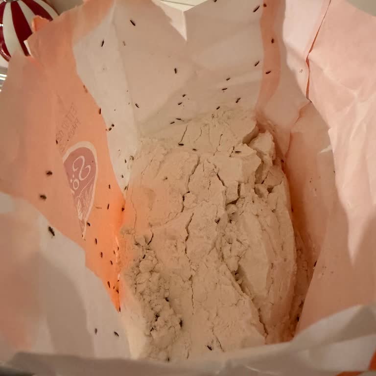Kozyatağı Metro Market'te Söke Pirinç Ve Un Paketlerinde Canlı Böcek Sorunu Ve Tam İade Talebi