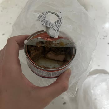 Bozuk Yaş Mama Ve Kedim İçin Sağlık Riski İade Talebi