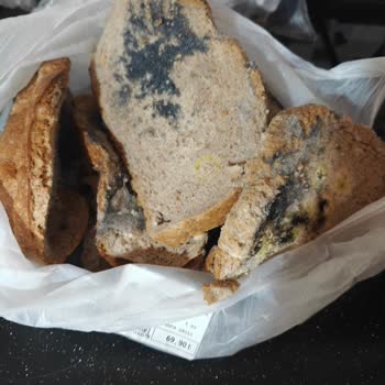 Küflü Ekmeğin Satışı Ve Mağaza Yetkililerinin Sorumluluk Reddi