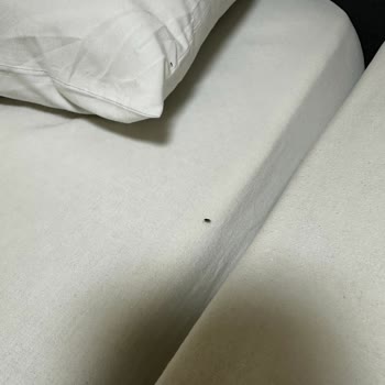 Hopa Öğretmenevi Kirli ve Böcekli Oda Nedeniyle 2400 TL Ücret İadesi Talebi