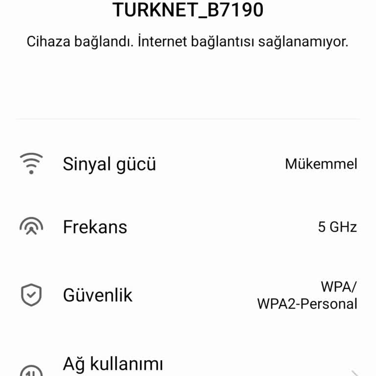 İnternet Kesintisi, Canlı Destek Yokluğu Ve İade Talebi