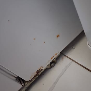 Garanti Kapsamındaki Vestel Buzdolabında Çürüme Ve Küflenme Ücretsiz Değişim Reddi