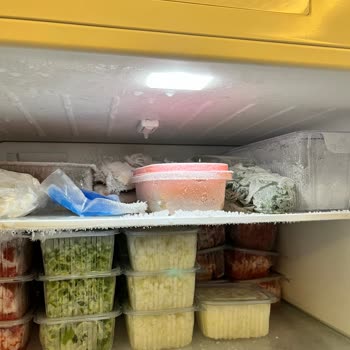 Profilo Buzdolabının Tekrarlayan Donma Ve Karlanma Sorunu Üzerine Para İadesi Talebi