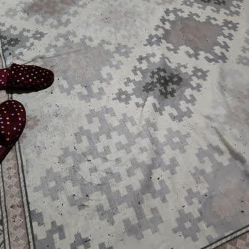Madame Coco Battaniyede Aşırı Tüylenme Ve Değişim Talebi