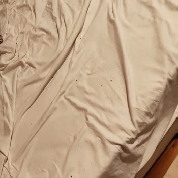 Madame Coco Battaniyede Aşırı Tüylenme Ve Değişim Talebi