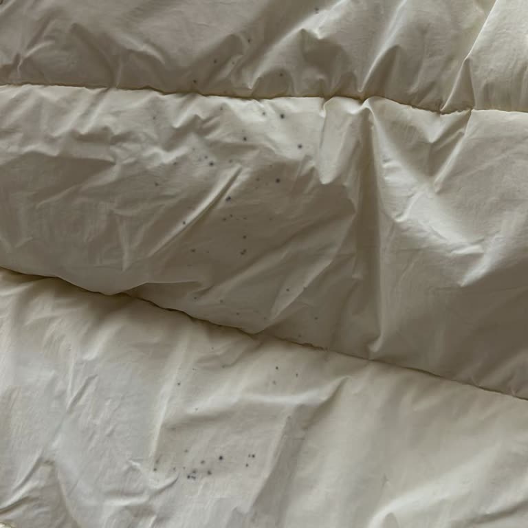Mavi Şişme Montta Küf Lekeleri Ve Çözüm Talebi