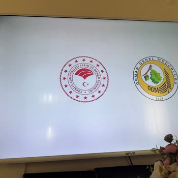 Onvo 65 İnç Ultra HD Google TV'de Görüntü Bozukluğu Ve Ayıplı Mal İadesi Talebi