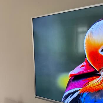 Onvo 65 İnç Ultra HD Google TV'de Görüntü Bozukluğu Ve Ayıplı Mal İadesi Talebi