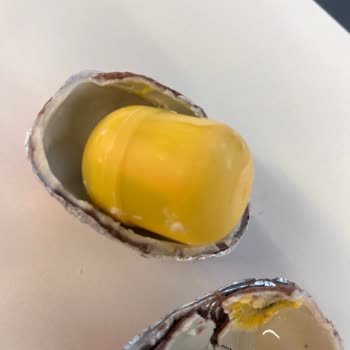 Kinder Sürpriz Yumurtasında Küflü Çikolata Ve Yetersiz Müşteri Hizmeti