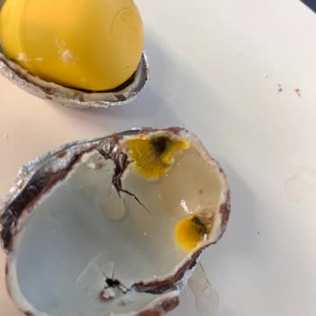 Kinder Sürpriz Yumurtasında Küflü Çikolata Ve Yetersiz Müşteri Hizmeti