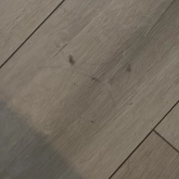 Philips 8000 Dikey Süpürge Çekim Gücü Kaybı Ve Garanti Talebi