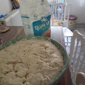 Nora Un’da Temizlik Kokusu Sorunu Ve Geri Ödeme Talebi