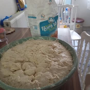 Nora Un’da Temizlik Kokusu Sorunu Ve Geri Ödeme Talebi