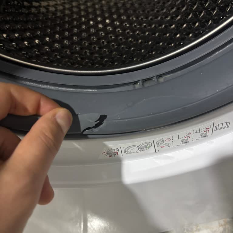 Arçelik 10120 M Kapak Körüğü Yırtıldı, Garanti Kapsamı Reddi