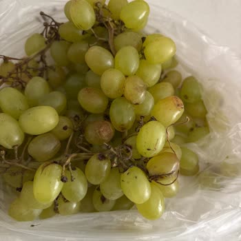 Migros Hemen'den Çürük Yeşil Üzüm Teslimatı Ve İade Talebi