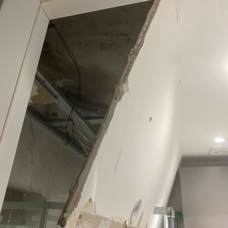 Bakyapı Yeni Hayat Sitesinde Banyodaki Çöken Tavan Ve Açıkta Kalan Elektrik Kabloları İçin Acil Onarım Talebi