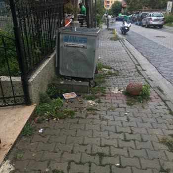 Ataşehir Belediyesi, Boş Arsa Ve Sokaklarda Artan Çöp Ve Pislik Sorununa Acil Çözüm Talebi