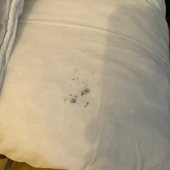Kuru Temizlemede Açık Poşetle Teslim Edilen Ve Lekeli Yorganlar
