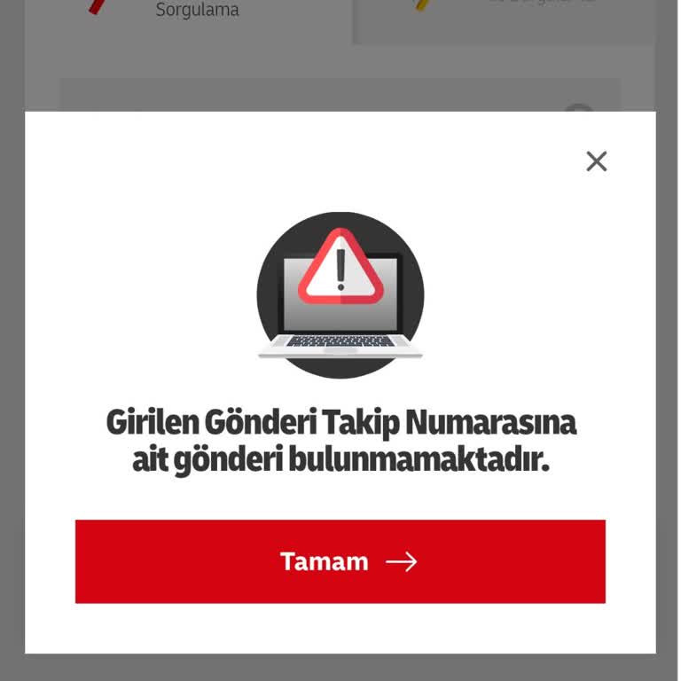 M*** G**** Üzerinden Ödenen 1.099 TL Ücretin İadesi İçin Teslim Edilmeyen Sipariş Şikayeti